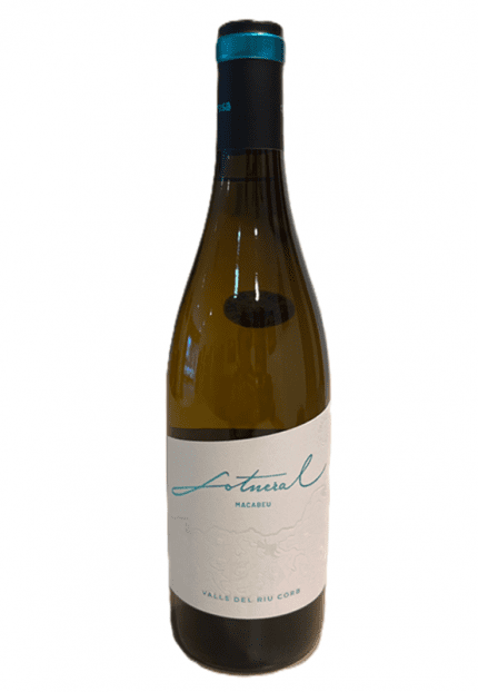 Spanischer Wein Sotneral 2023 Vino Blanco, Macabeu Flasche