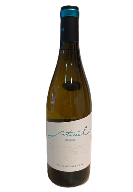 Spanischer Wein Sotneral 2023 Vino Blanco, Macabeu Flasche